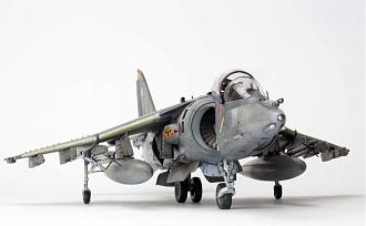 Нажмите на изображение для увеличения.

Название:	harrier-1-48-1.jpg
Просмотров:	440
Размер:	75.1 Кб
ID:	382